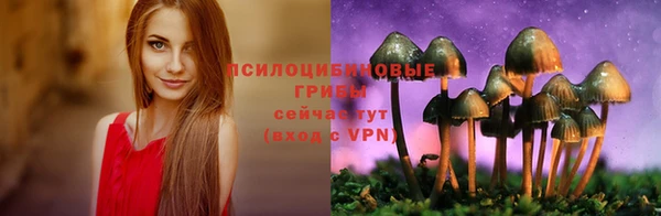 a pvp Арсеньев