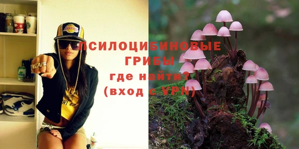 a pvp Арсеньев