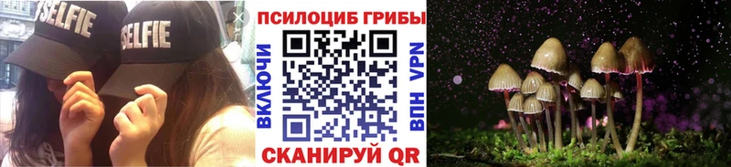 kraken ссылки Губаха Галлюциногенные грибы Magic Shrooms где можно купить наркотик
